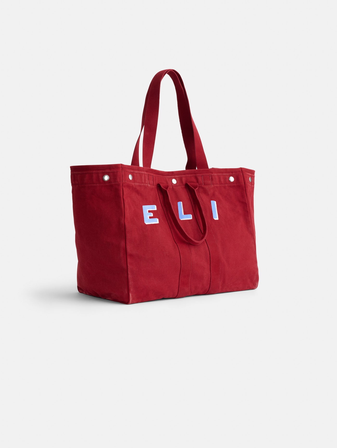 Painted Perfect Weekend Tote
