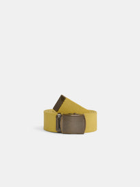 Solid Web Belt