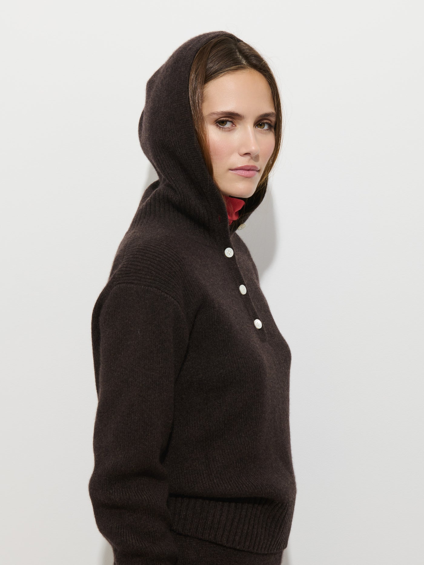 Surrey Hoodie in Washed Cashmere